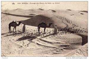 ALGERIE / ALGERIEN   Biskra  Passage des Dunes de Sable au Desert