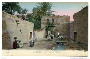 ALGERIE  BISKRA - UN COIN DE L´OASIS