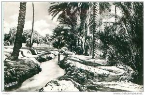 BISKRA - Une Seghia dans la Palmeraie (Ed. Jomone, 68)