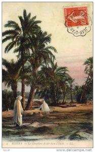 ALGERIE  BISKRA  Le Cimetière Arabe dans l´Oasis  ..... ( Ref H1818 )