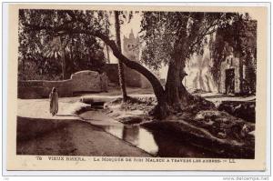 Vieux BISKRA , La Mosquée de Sidi Malek à travers les arbres , CPA ANIMEE