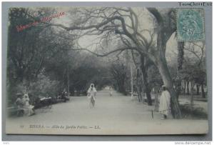 BISKRA - Allée du Jardin Public