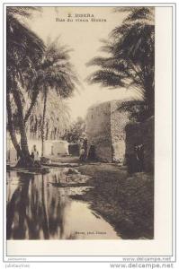 biskra rue du vieux biskra cpa bon état