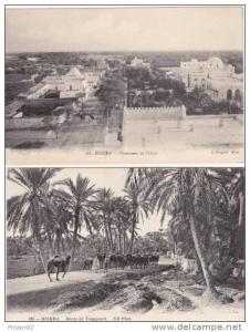 1 LOT DE 2 CPA JAMAIS CIRCULEES BISKRA PANORAMA DE L OASIS ET ROUTE DE TOUGGOURT