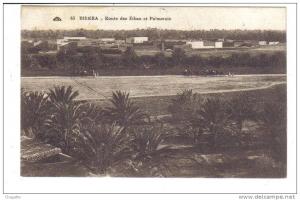 cpa, biskra, route des ziban et palmeraie