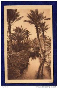 ALGERIE / ALGERIEN    Biskra Une Segula dans L' Oasis