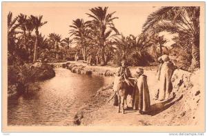 CPA    Biskra Un oued dans l'oasis    (animée)    E972
