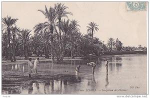 G- BISKRA  IRRIGATION DES DATTIERS CPA CIRCULEE