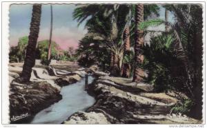 Biskra  Une Seghia dans la Palmeraie     scenes et types