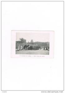 cpa vers l'oasis de biskra