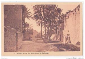 carte postale ancienne 1930  Biskra  une Rue dans l'Oasis de Gaddacha