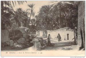 CPA     Biskra Oasis de palmiers dalliers    (animée)    H609