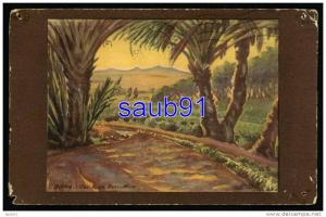 Biskra -  Oasis de Beni Mora  -   Réf  24111