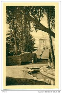 BISKRA  Dans le Vieux Biskra. Mosquée de Bab-el-Darb.