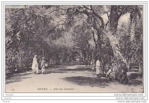 G- BISKRA  ALLEE DES GOMMIERS CPA CIRCULEE