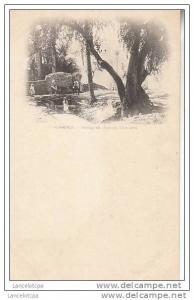 ALGERIE - BISKRA / MOSQUE ABD-EL-MOUMEN