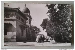 biskra - ( constantine ) - l'hôtel de ville   animation