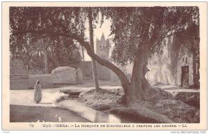 CPA   Vieux Biskra La mosquée de Sidi Maleck   F350