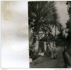 Biskra   -Constantine-En Flanant  dans l'Oasis  Animée