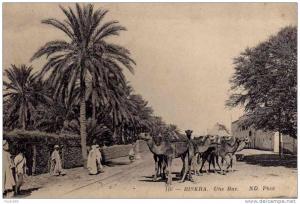 BISKRA   19???       PLUS       PORT  CH  OU  PAYPAL  AVEC LEURS  FRAIS