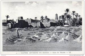 BISKRA L´Aures environ de Biskra--Oasis Filiacke.