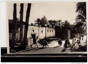 4O56  BISKRA        CH OU  PAYPAL  AVEC LEURS   FRAIS