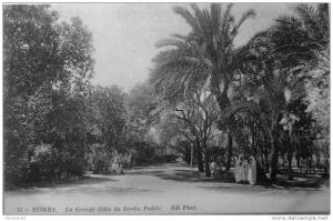 La grande allée du jardin public