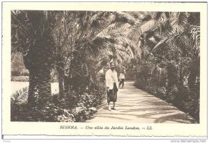 Algérie - Biskra - Une Allée du Jardin Landon - 1940