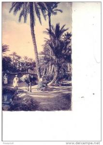 CPA - BISKRA - UN CHEMIN DANS LA PALMERAIE - EDITION LANDRON N° 1131