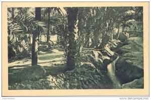 ARGELIA, ALGER. DANS LE VIEUX BISKRA CPA RARE CIRCA 1935 NON CIRCULEE TBE TOP CARTE CUAC