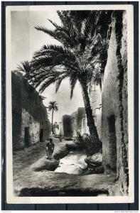VIEUX BISKRA . Une rue de Bad Darh .Carte animée . Voir Recto - Verso  (K187)