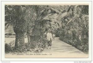 Biskra, Une Alle du Jardin Landon - LL