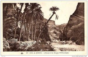 CP ALGERIE  ENVIRONS DE BISKRA OUED ET GORGES M'CHOUNECHE
