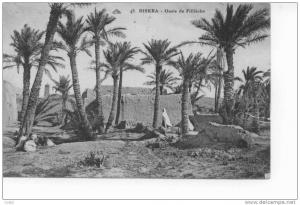 Biskra Oasis de Fillièche