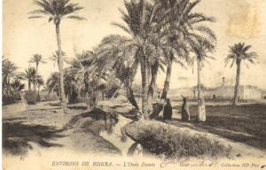 / ALGERIE - ENVIRONS DE BISKRA - L´Oasis Zaouïa