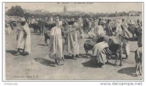 AFRIQUE  /  ALGERIE  /  BISKRA      VUE GENERALE      CPA  9x14