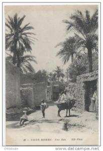 AFRIQUE  /  ALGERIE  /  BISKRA      VUE GENERALE      CPA  9x14