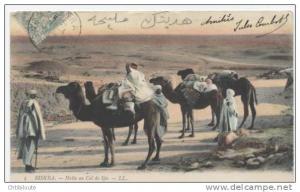 AFRIQUE  /  ALGERIE  /  BISKRA      VUE GENERALE      CPA  9x14