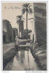 AFRIQUE  /  ALGERIE  /  BISKRA      VUE GENERALE      CPA  9x14
