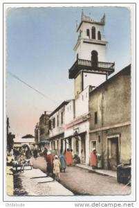 AFRIQUE  /  ALGERIE   /   BISKRA  /    /  VUE GENERALE  CPSM   9X14  TBE