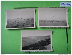 17 ) 3 photos biskra palmeraie, dans les dunes 1951