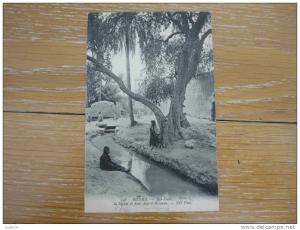 CPA ANIMEE BISKRA - BAB DARB- LA SEGUIA ET SIDI ABD EL MOUMEN-