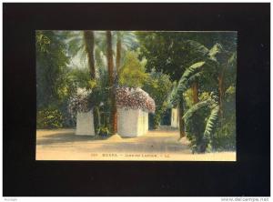 CPA ALGERIE  BISKRA  JARDINS LANDON  LL