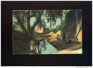 CPA ALGERIE  BISKRA L OASIS DE BAB DARB LL