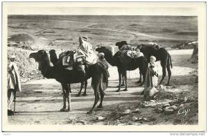 BISKRA  -  Halte au Col de Sfa.