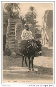 Biskra-Arabe et son ane Postcard
