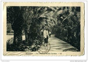 BISKRA une allée du jardin Landon