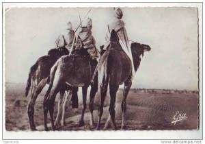 Biskra - Groupe de Touaregs