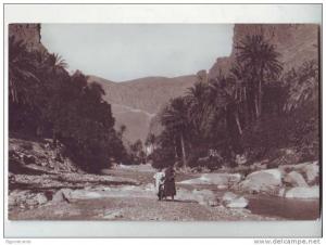 Environs de Biskra - El Kantara