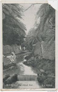 cp , ALGERIE , BIskra , Une vieille rue